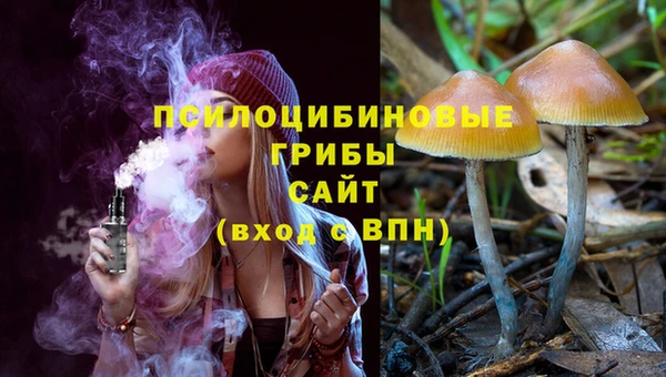 прущая мука Абаза