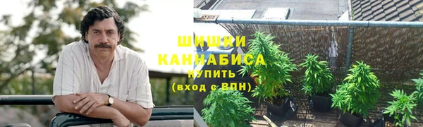 прущая мука Абаза