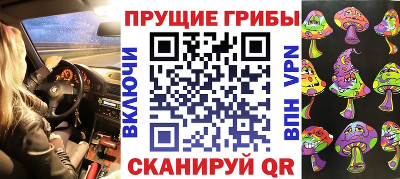 Псилоцибиновые грибы Psilocybe  Королёв 